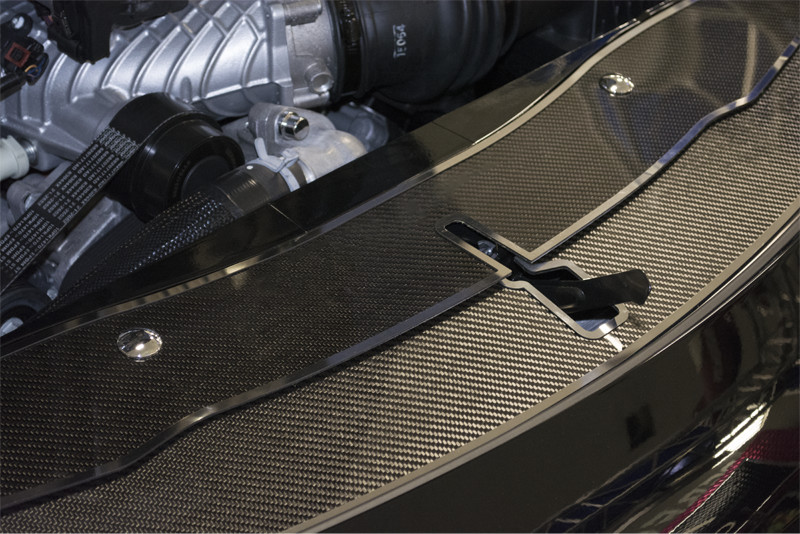 2015 Dodge Charger Carbon Fiber Front Header Plate 2 Pc Kit